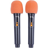 اسپیکر قابل حمل برودو مدل BTS-2270