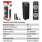 اسپیکر خانگی ایستاده Sing-E JQS9055 + میکروفون و ریموت کنترل